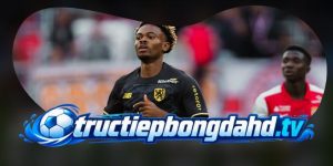 Dự Đoán Trận FK Bodo/Glimt Vs LOSC Lille 03h00 04/11